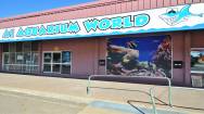 Retail Aquarium for Sale
