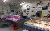 Fish Monger for Sale in Nambucca Heads ABM ID #6163
