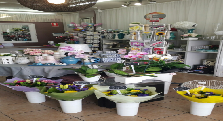 Florist / Gift Shop Business for Sale