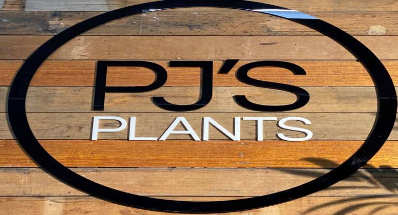 Excellent Quality PJ's Plants ABM ID# 6315