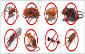 Pest Control ABM ID #3042